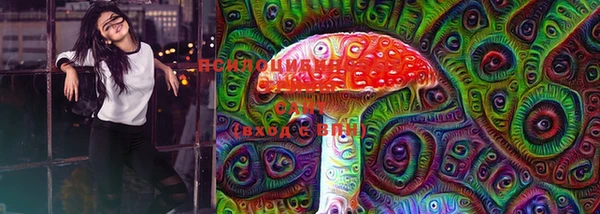 герыч Богородицк