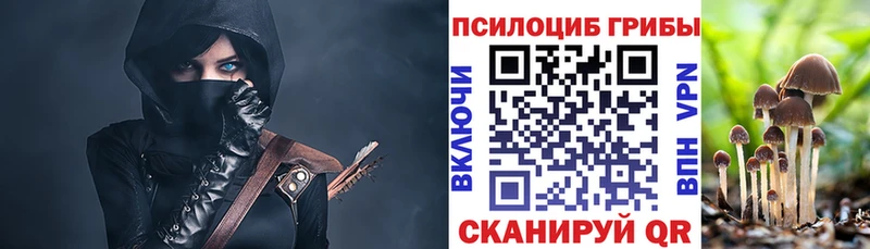 купить  сайты  darknet Telegram  Псилоцибиновые грибы мухоморы  Мезень 